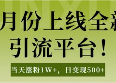 1月上线全新引流平台,当天涨粉1W+,日变现500+工具无脑涨粉,解放双手操作简单