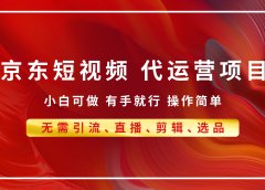 京东带货代运营,年底翻身项目,小白有手就行,月入8000+