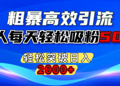 粗暴高效引流,单人每天轻松吸粉500+,轻松突破日入2000+