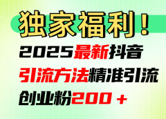 2025最新抖音引流方法每日精准引流创业粉200+