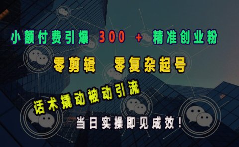 小额付费引爆 300 + 精准创业粉,零剪辑、零复杂起号,话术撬动被动引流,当日实操即见成效!