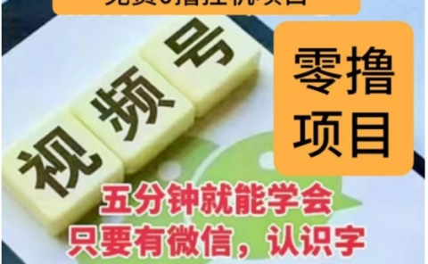 微信视频号挂机零成本撸米项目,单号一天收益多米,帐号越多收益就越高!