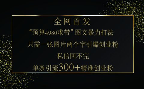 小红书,“预算 4980 带我飞” 的神奇图片引流法,堪称涨粉核武器!只需一张图,就能单条笔记凭借此方法,轻松引流 300 + 精准创业粉!