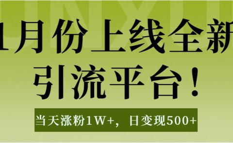 1月上线全新引流平台,当天涨粉1W+,日变现500+工具无脑涨粉,解放双手操作简单