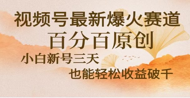 视频号独家玩法,老年养生赛道,无脑搬运爆款视频,日入2000+