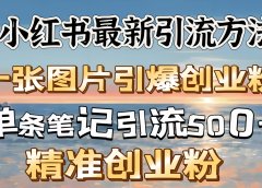 红书最新引流方法,一张图片引爆创业粉,单条笔记引流500+精准创业粉