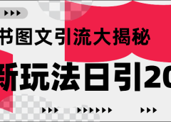 小红书图文引流,只需一张图片即可撬动百万流量,日引200+创业粉
