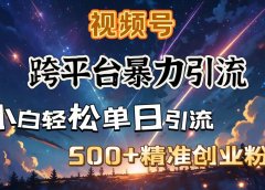 视频号跨平台暴力引流,小白轻松单日引流500+精准创业粉