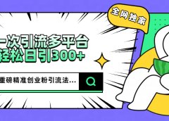 2025重磅全网独家引流法,一次多平台,轻松日引300+精准创业粉