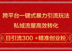 跨平台一键式暴力引流玩法,私域流量高效转化日引流300 +精准创业粉