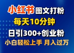 2月小红书图文打粉,每天10分钟,日引300+创业粉,小白轻松月入过万