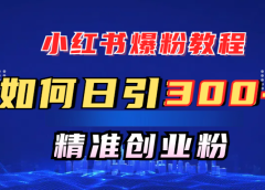 小红书爆粉教程,如何日引300+创业粉,快速实现精准变现!