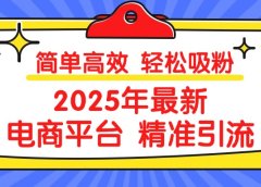 2025年最新电商平台精准引流 简单高效 轻松吸粉