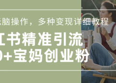 小红书精准日引200+宝妈创业粉,简单无脑操作,多种变现详细教程