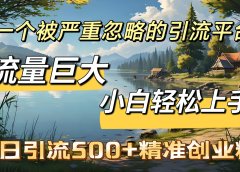 一个被严重忽略的引流平台,流量巨大,小白轻松上手,单日引流500+精准创业粉