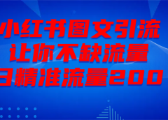 最新!小红书图文引流,全面解析日引300私域流量,是怎样做到的!