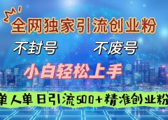 全网独家引流创业粉,不封号、不费号,小白轻松上手,单人单日引流500+精准创业粉