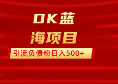 DK蓝海项目  通过，抖音，快手，小红书，引流负债粉日入500+