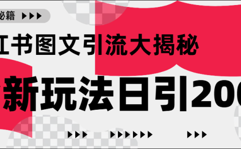 小红书图文引流,只需一张图片即可撬动百万流量,日引200+创业粉