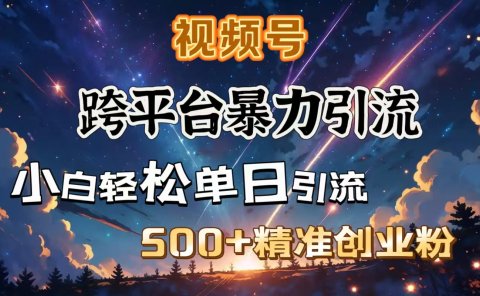 视频号跨平台暴力引流,小白轻松单日引流500+精准创业粉
