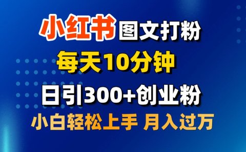 2月小红书图文打粉,每天10分钟,日引300+创业粉,小白轻松月入过万
