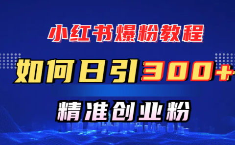 小红书爆粉教程,如何日引300+创业粉,快速实现精准变现!