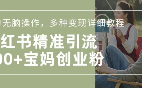 小红书精准日引200+宝妈创业粉,简单无脑操作,多种变现详细教程