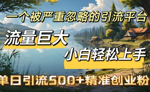 一个被严重忽略的引流平台,流量巨大,小白轻松上手,单日引流500+精准创业粉