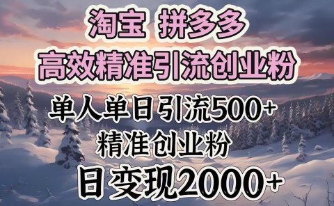 淘宝拼多多高效精准引流创业粉,单人单日引流500+创业粉,日变现2000+