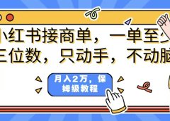 小红书商单项目，一单最少三位数，只动手不动，脑月入2万，看完就能上手，详细教程。