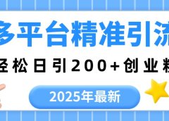2025年最新多平台精准引流,轻松日引200+