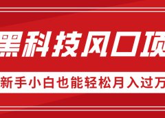 AI黑科技风口项目，视频号全新爆款玩法，新手小白也能轻松月入过万