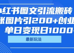 小红书图文引流搬砖,一张图片引200+创业粉,单日变现日1000+