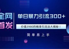 全网首发,价值3980单日暴力引流300+的精准引流法大揭秘!