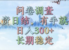 问卷调查，工资日结，有手就行，日入300+，长期稳定