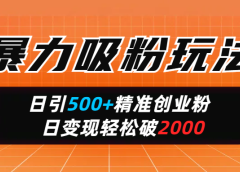 暴力吸粉玩法,日引500+精准创业粉,日变现轻松破2000