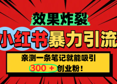 小红书炸裂玩法,亲测一条笔记就能吸引300+精准创业粉!
