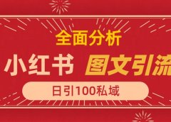 小红书图文引流,全面解析,日引100私域流量是怎样做到的