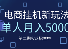 电商平台挂机新玩法，单人月入5000+攻略
