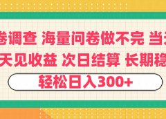 问卷调查 一手资源海量问卷做不完 次日结算 可全职可兼职 长效稳定 当天做当天见收益 轻松日入300+