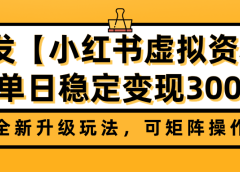 首发【小红书虚拟资料】全新升级玩法，可矩阵操作，单日稳定变现300+