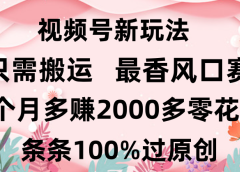 日入2000+，条条100%过原创，视频号最香风口赛道，小白轻松上手