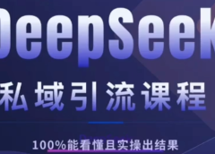 DeepSeek私域引流课程,小白也能看懂,实操必出结果,日引目标客户200+