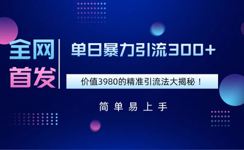 全网首发,价值3980单日暴力引流300+的精准引流法大揭秘!