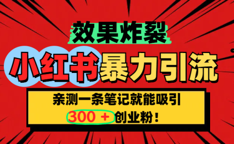 小红书炸裂玩法,亲测一条笔记就能吸引300+精准创业粉!