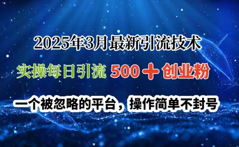 2025年3月最新引流技术,实操每日引流500➕创业粉,一个被忽略的平台,操作简单不封号