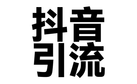 2025年抖音最新暴力引流法,只需一个视频加一段文字,简单操作,单日引300+创业粉