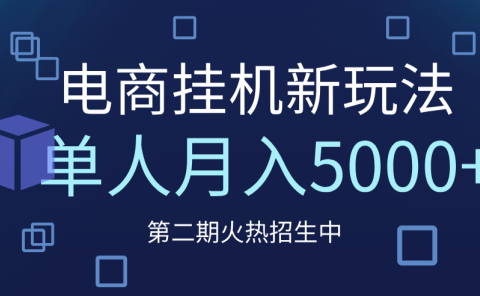 电商平台挂机新玩法，单人月入5000+攻略