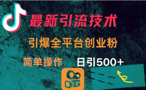 最新引流方法,引爆全平台创业粉操作简单,日引300+