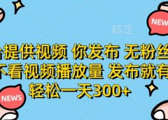 平台提供视频，你发布  无粉丝要求，不看视频播放量，发布就有钱，轻松一天300+